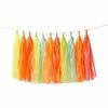 Meri Meri Neon Tassel Garland