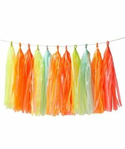 Meri Meri Neon Tassel Garland