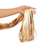 Ali Express Matte Foil Fringe Curtain Party Supplies