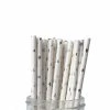 Ali Express Silver Star Straws