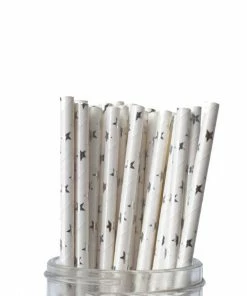 Ali Express Silver Star Straws