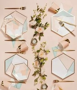 Harlow & Grey Desert Rose Large Napkin Party Supplies 5 Harlow & Grey Desert Rose Large Napkin Party Supplies