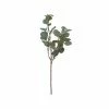 Ali Express Silver Dollar Eucalyptus Stem Home Decor 2 Ali Express Silver Dollar Eucalyptus Stem Home Decor