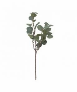 Ali Express Silver Dollar Eucalyptus Stem Home Decor
