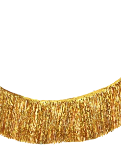Ali Express Gold Metallic Fringe Garland