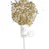Thimblepress Party Supplies All That Glitters Push-Pop Confetti