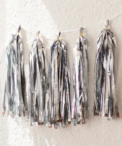 Ali Express DIY Silver Tassel Garland