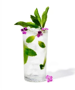 TossWare 14oz Highball Cocktail Glass