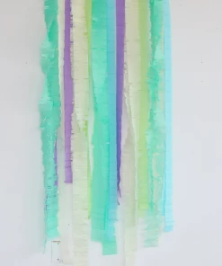 Ali Express Party Supplies Cool Pastel Fringe Streamer Set
